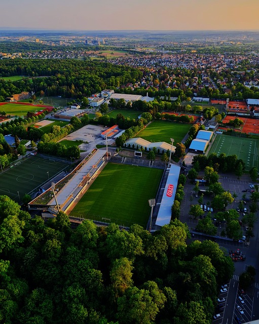 还帮助他们 还帮助他们