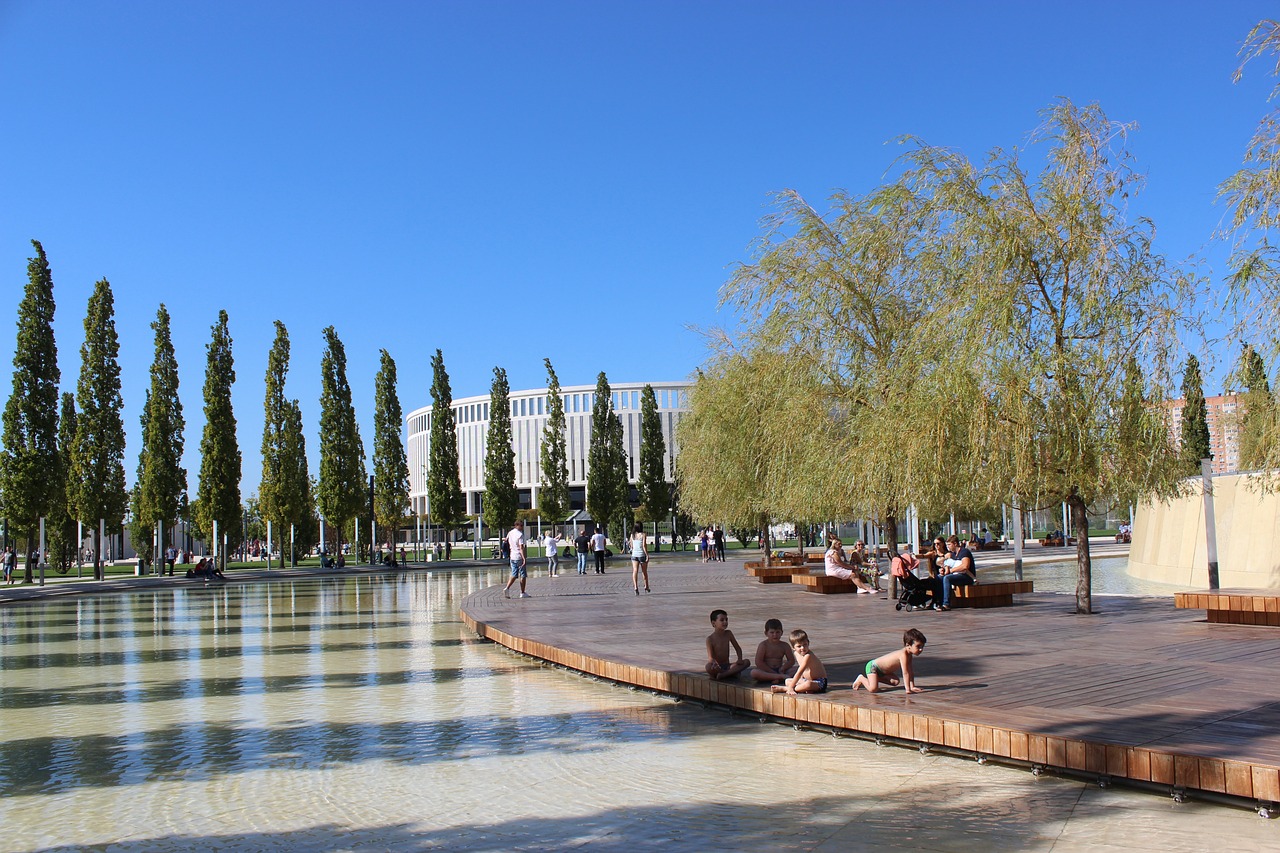 跆拳道有显 跆拳道有显